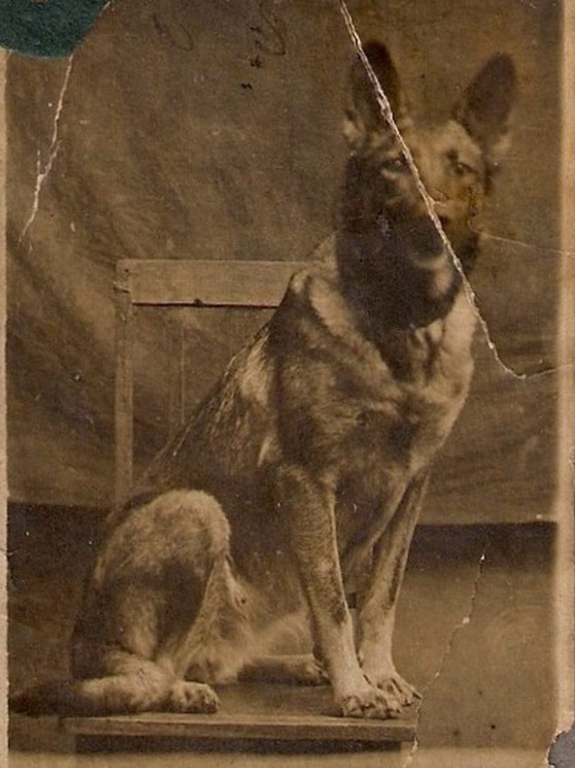 3.Аста 1941 г.