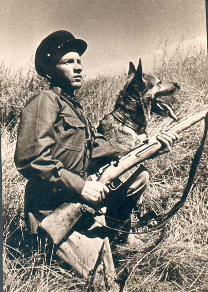 9. Овчарки предвоенной поры 5.